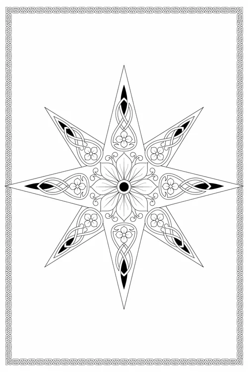Eight-pointed compass star with knotwork points and black tips surrounding a large lily bloom, braided rope frame.