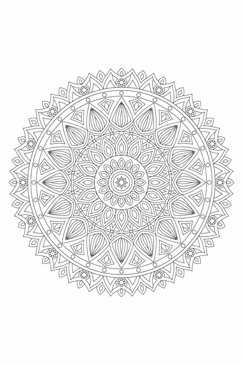 Airy geometric mandala with wide open petals, dotted ring and floret-tipped edge circling a small eight-point star.