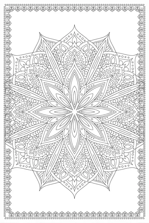 Dense starburst mandala with tall pointed petals and paisley fans enclosed by an ornate beaded lace rectangular border.